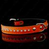 Regency Collar In Blaze Orange -  (Photos are Copyrighted and Include Digitally Embedded Watermark for Tracking. No Unauthorized Use).
